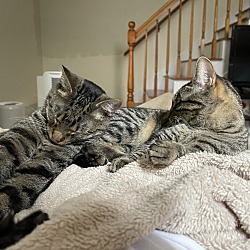 Photo of Tony & Winnie 