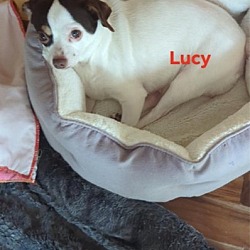 Photo of Lucy