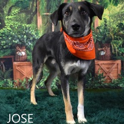 Thumbnail photo of Jose #1