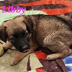 Photo of Libby
