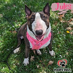 Thumbnail photo of Jules #3