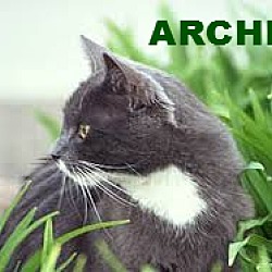 Thumbnail photo of Archer #2