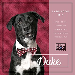 Photo of Duke