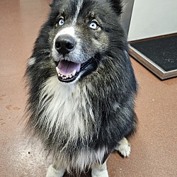 Photo of Tofu