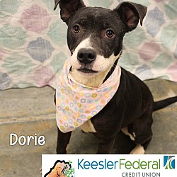 Photo of Dorie