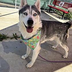 Photo of Blu