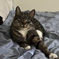 Photo of Frankie
