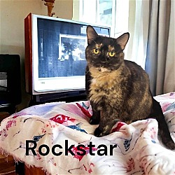 Thumbnail photo of Rock Star #4