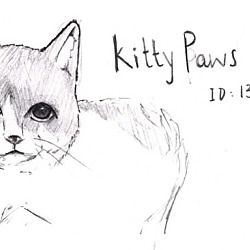 Thumbnail photo of Kitty Paws #3