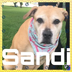 Photo of Sandi