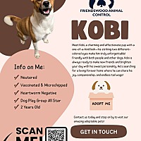 adopt a pet