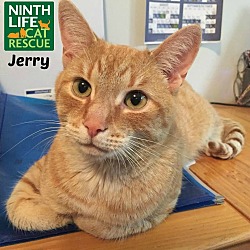 Thumbnail photo of Jerry #1