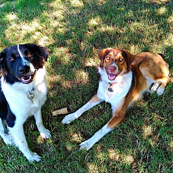 Thumbnail photo of Berkley & Duke #1