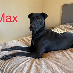 Thumbnail photo of Max #2