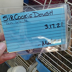 Thumbnail photo of Sir CookieDough #2