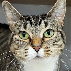 Photo of Phoenix