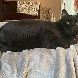 Thumbnail photo of Simon - KD #1