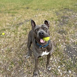 Photo of Lola