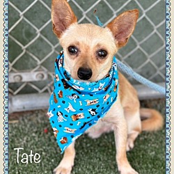 Thumbnail photo of TATE #4