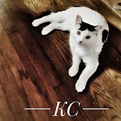 Thumbnail photo of KC #3