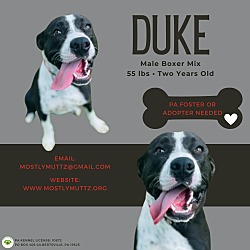 Photo of Duke