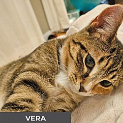 Thumbnail photo of Vera #3