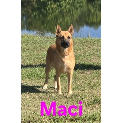 Thumbnail photo of Maci #1