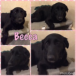 Thumbnail photo of Becca #2