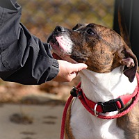 Yonkers Shelter in Yonkers, New York