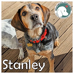 Photo of Stanley