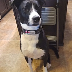 Photo of Oakly