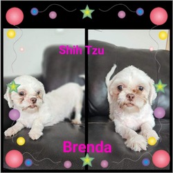 Thumbnail photo of Brenda #1