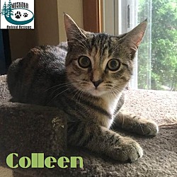 Thumbnail photo of Colleen -Sweetie! #2