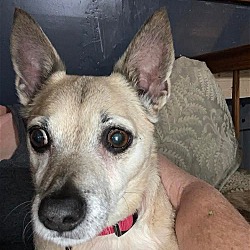 Photo of Morgan