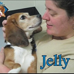 Thumbnail photo of Jelly #2