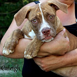 Thumbnail photo of Caleigh ~ meet me! #1
