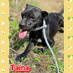 Photo of Taina PR