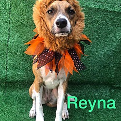 Thumbnail photo of Reyna #4