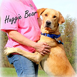 Thumbnail photo of Huggie Bear~adopted! #1
