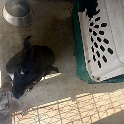 Photo of Cece