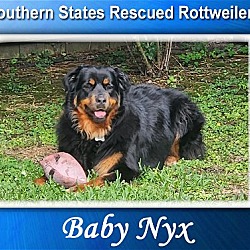 Thumbnail photo of Baby Nyx #1