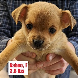 Photo of Naboo