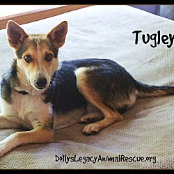 Thumbnail photo of TUGLEY #2