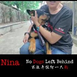 Thumbnail photo of Nina 8210 #3