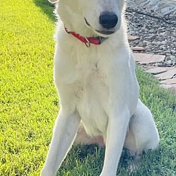 Photo of XP Champ in Texas