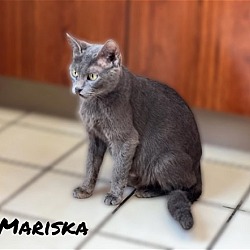 Photo of MARISKA