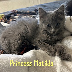 Photo of Princess Matilda