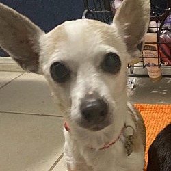 Photo of Libby