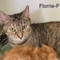Photo of Florrie