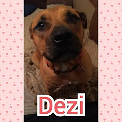 Photo of Dezi